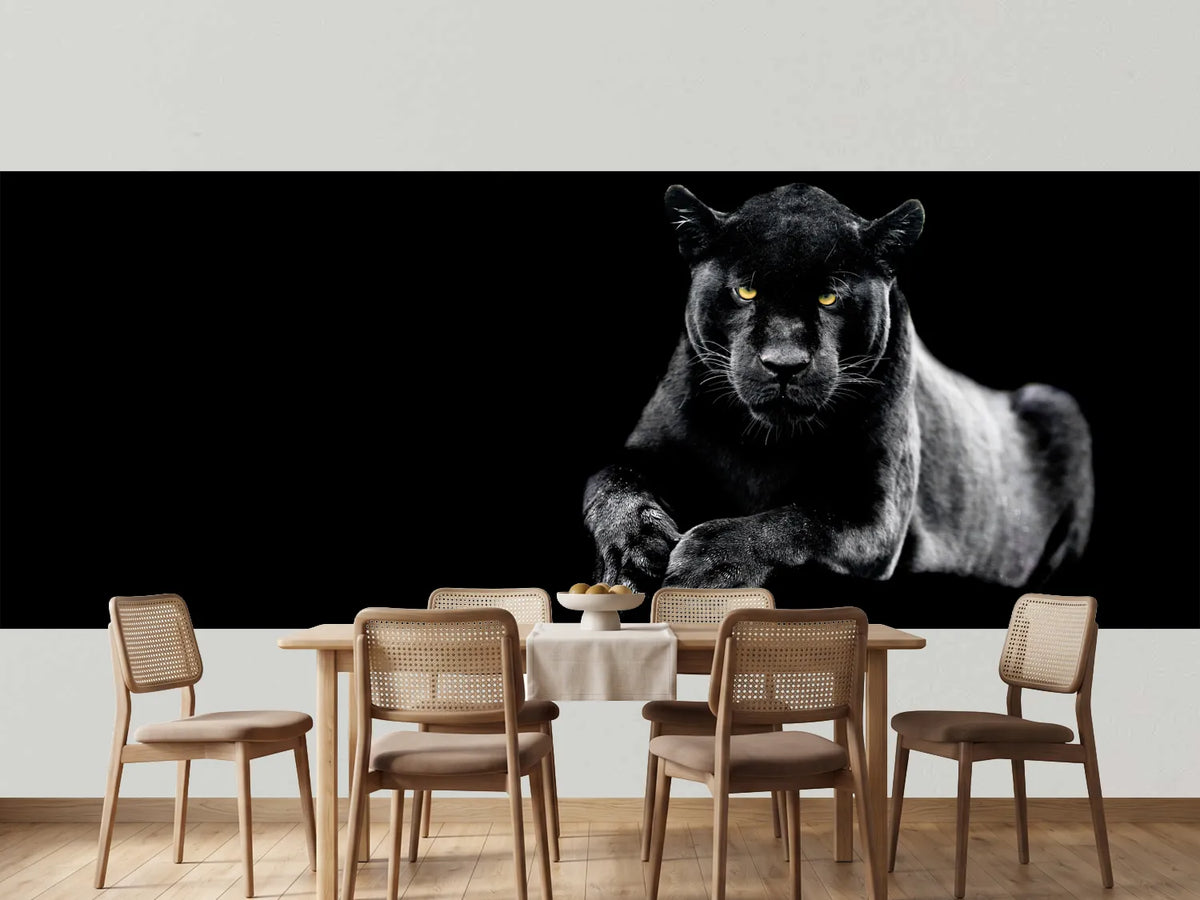 photo-wallpaper-jaguar-with-a-black-background
