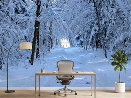 photo-wallpaper-finally-winter