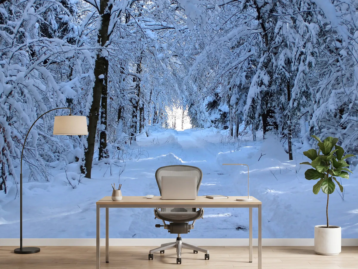 photo-wallpaper-finally-winter