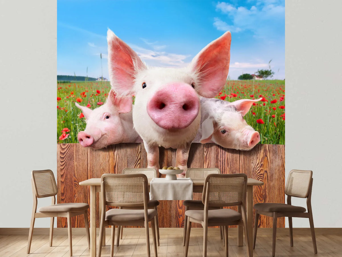 photo-wallpaper-pig-in-luck