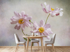 photo-wallpaper-anemones