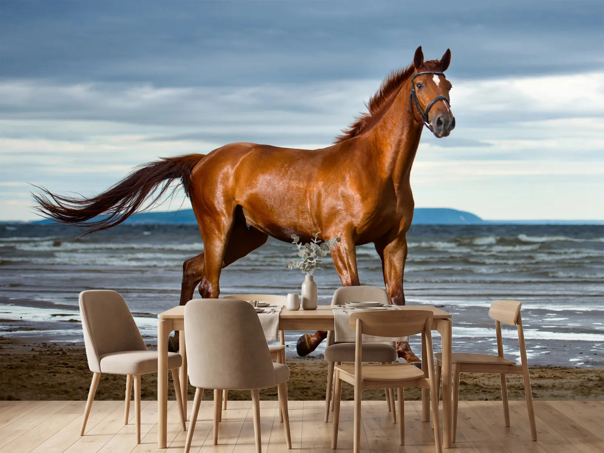 photo-wallpaper-a-thoroughbred-at-the-sea