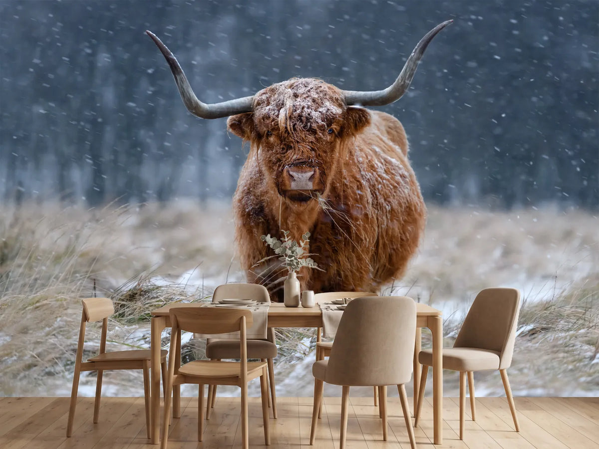 photo-wallpaper-snowy-highland-cow
