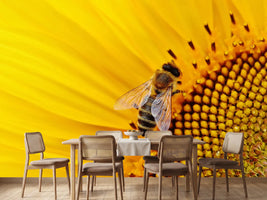 photo-wallpaper-bee-on-the-sunflower