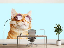 photo-wallpaper-ginger-cat-in-round-sunglasses-against-pale-turquoise