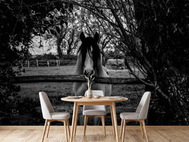 photo-wallpaper-the-horse-sw