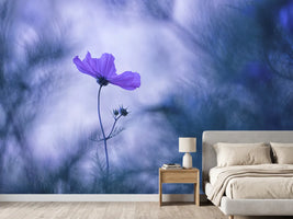 photo-wallpaper-blue-dream-x