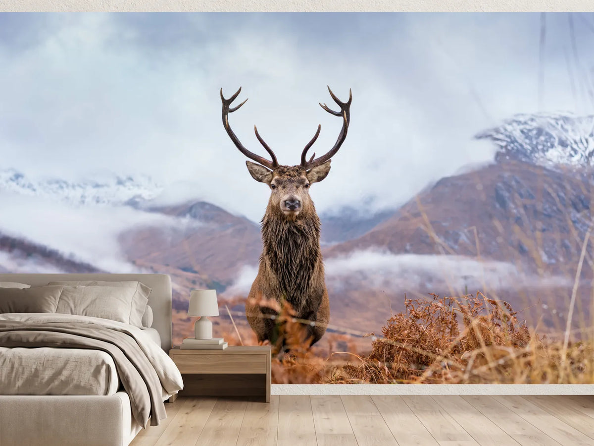 photo-wallpaper-monarch-of-the-glen-2