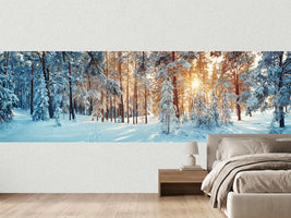 photo-wallpaper-silent-trail-in-the-white-forest