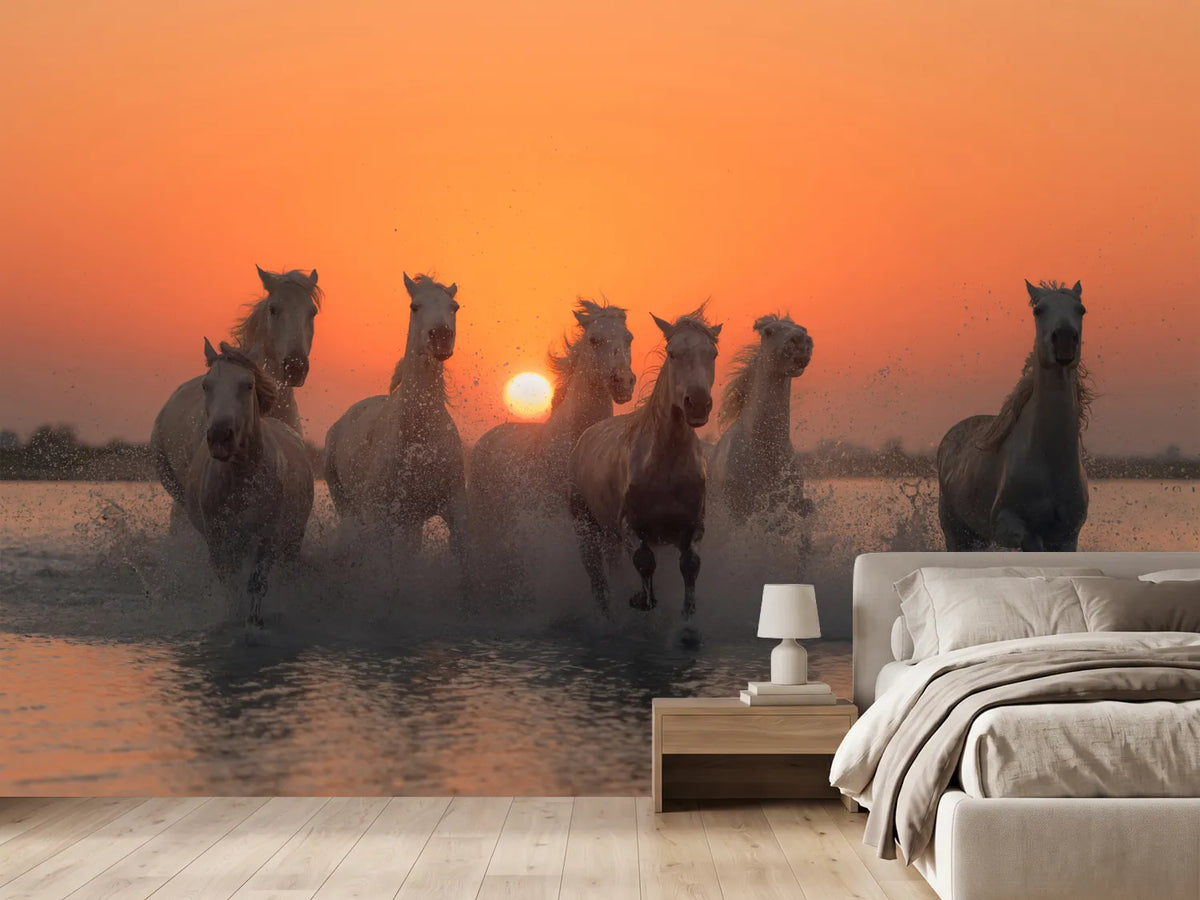 photo-wallpaper-sunset-in-camargue-x