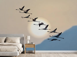 photo-wallpaper-flamingo-sunset-silhouettes