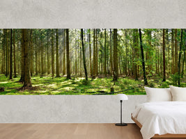 photo-wallpaper-beautiful-forest-with-moss-covered-soil-and-sunbeams-through-the-trees