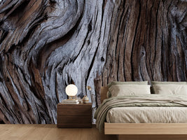 photo-wallpaper-weathered-wood-detail