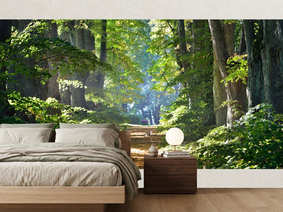 photo-wallpaper-road-in-a-beautiful-forest-in-the-morning