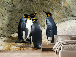 photo-wallpaper-king-penguins