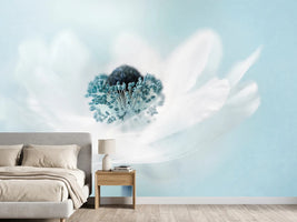 photo-wallpaper-candy-floss