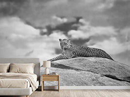 photo-wallpaper-leopard-on-a-kopje-x