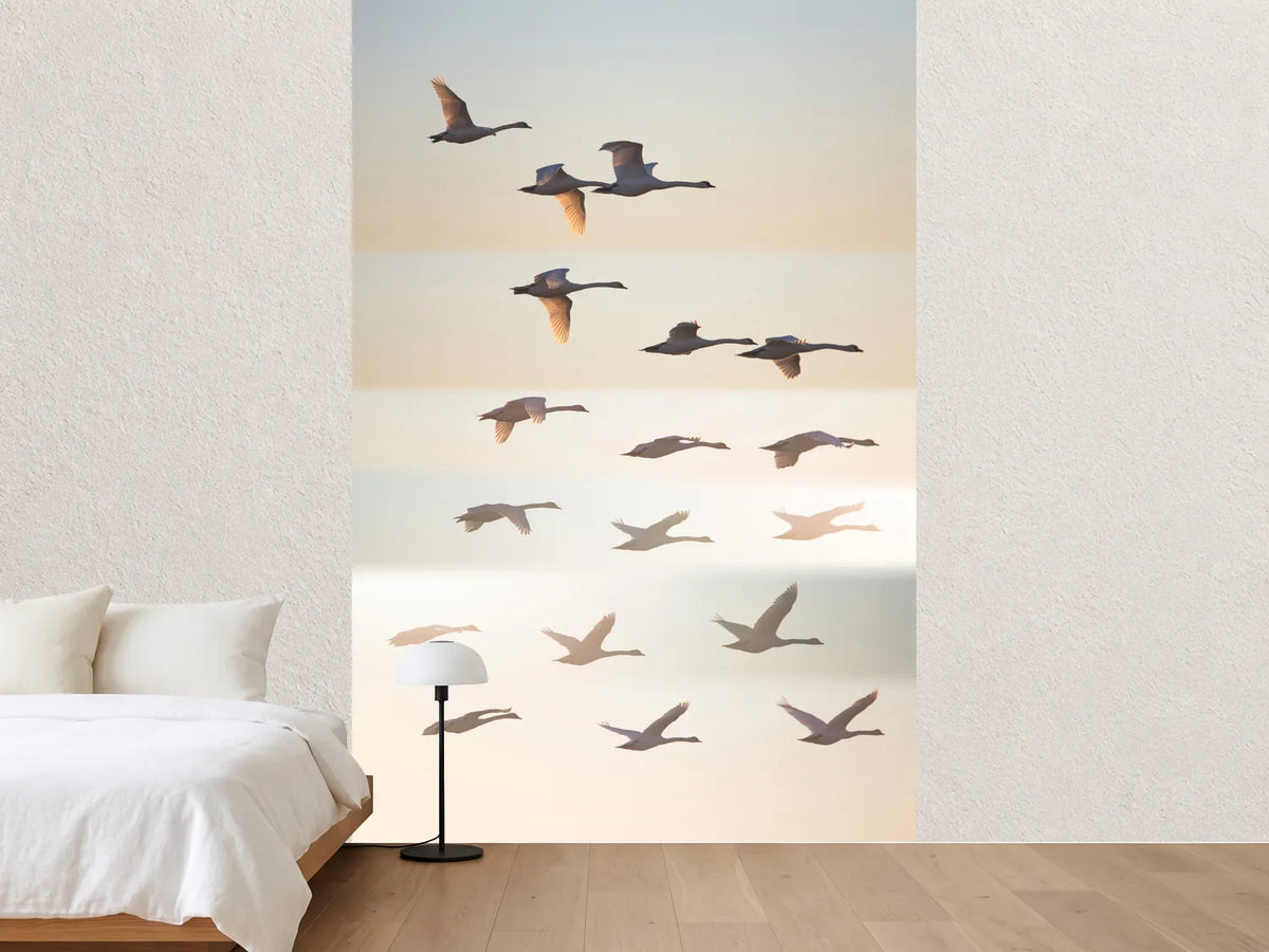 photo-wallpaper-past-the-sun