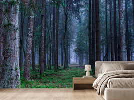photo-wallpaper-fir-trees-forest