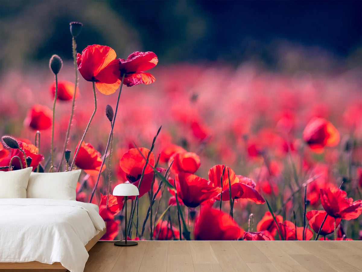 photo-wallpaper-in-the-poppy-field