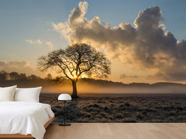 photo-wallpaper-a-lonely-tree