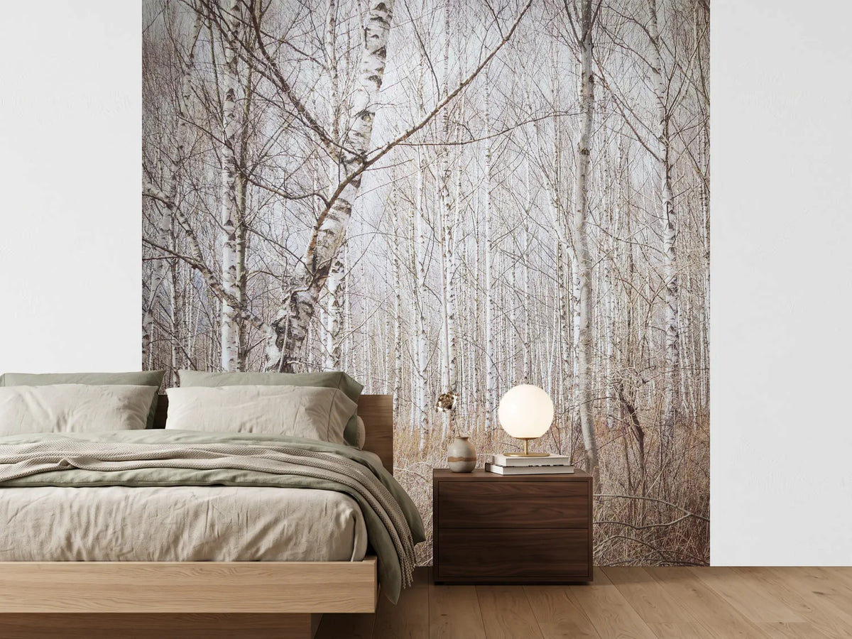 photo-wallpaper-birch-forest-x