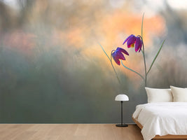 photo-wallpaper-spring-danse-x
