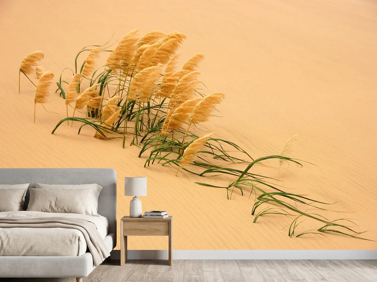 photo-wallpaper-pampas-grass-in-sand-dune-x