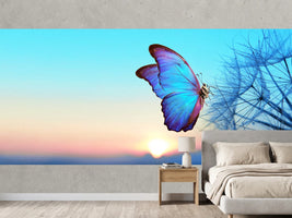 photo-wallpaper-blue-morpho-butterfly-on-a-dandelion-seed-head-at-sunrise
