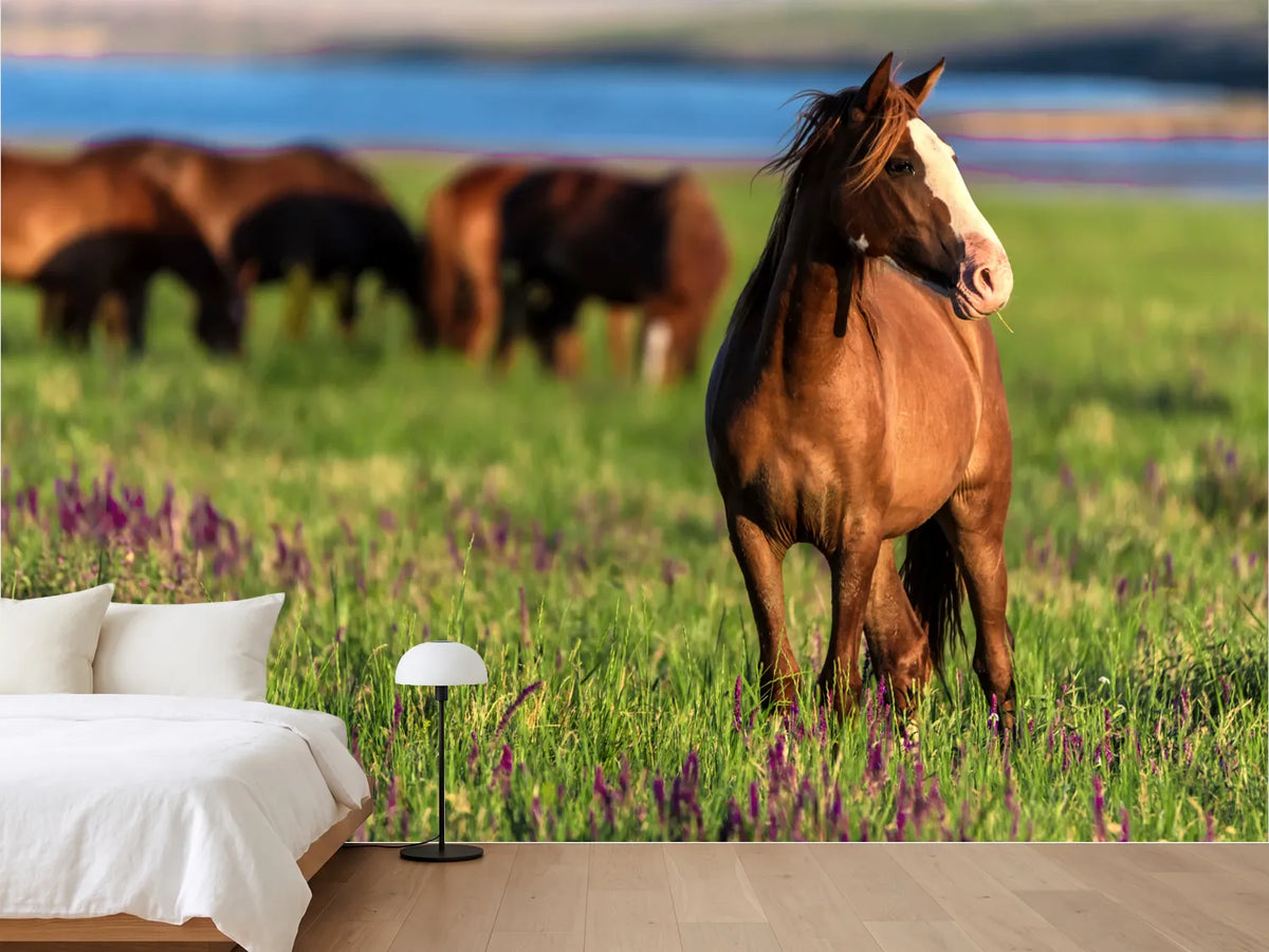 photo-wallpaper-wild-horses-graze-in-the-sunlit-meadow