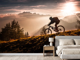 photo-wallpaper-golden-hour-biking-x