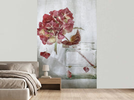 photo-wallpaper-hydrangea-xaa