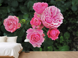 photo-wallpaper-the-wild-roses-in-pink