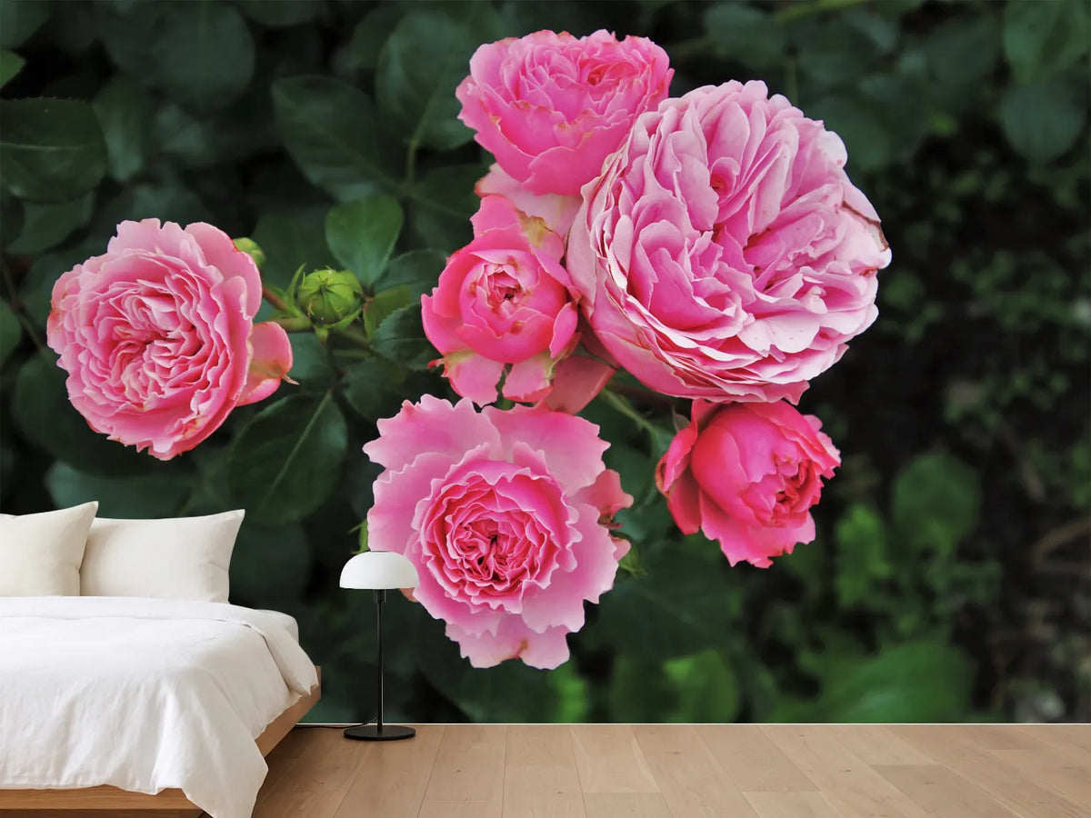photo-wallpaper-the-wild-roses-in-pink