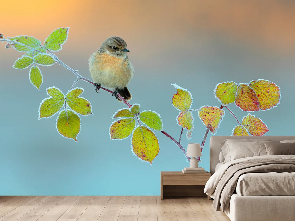 photo-wallpaper-winter-colors