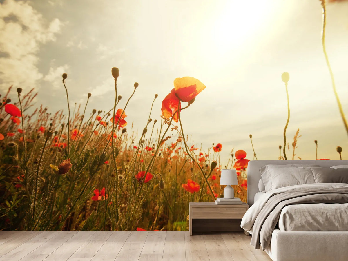 photo-wallpaper-the-poppy-field-at-sunrise