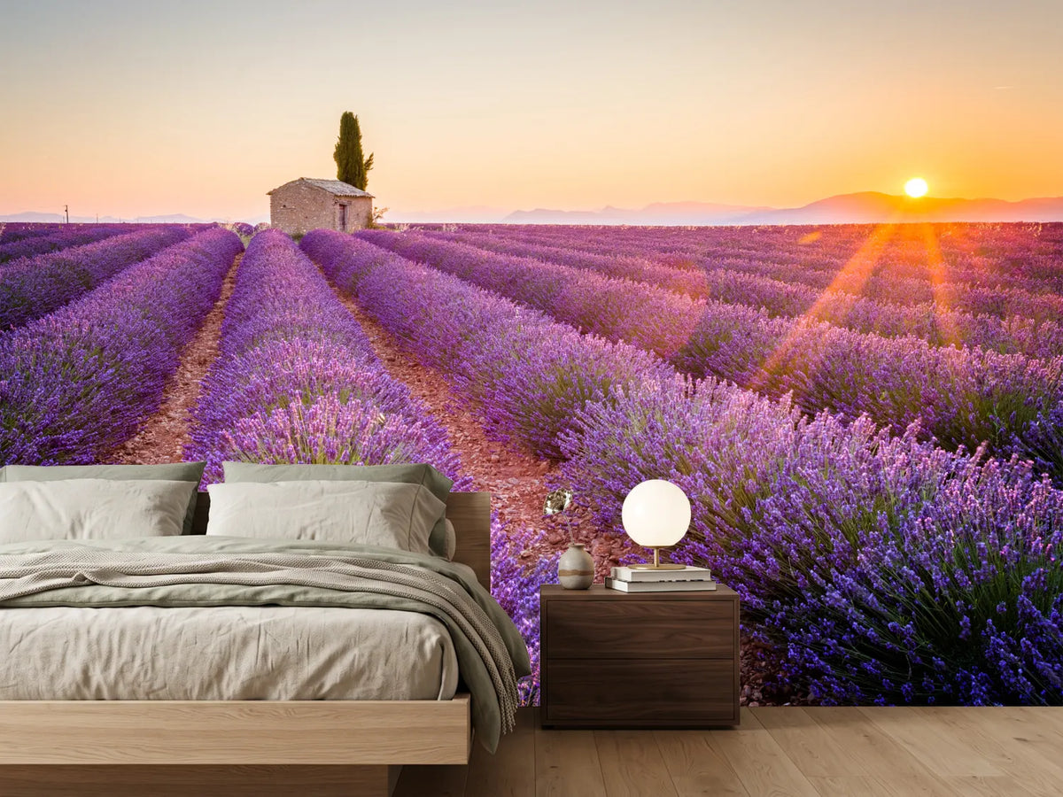 photo-wallpaper-rays-of-sunshine-over-fragrant-lavender