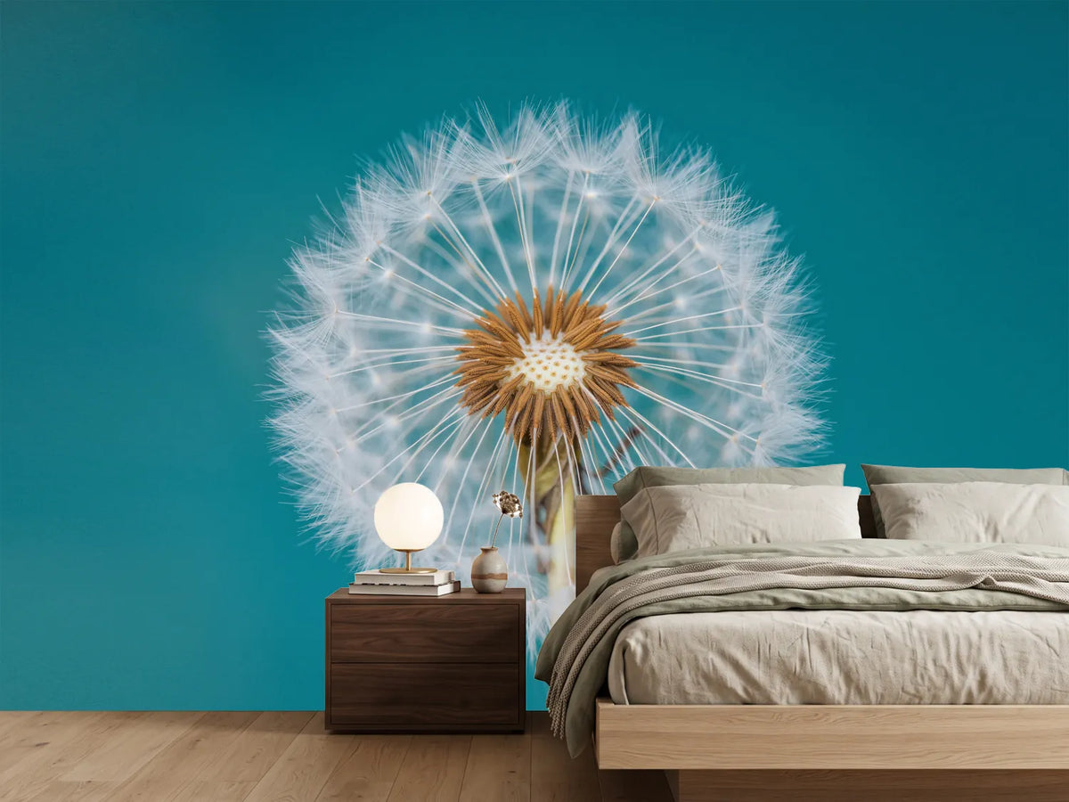 photo-wallpaper-dandelion-a