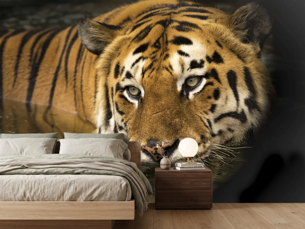 photo-wallpaper-tiger-in-the-water