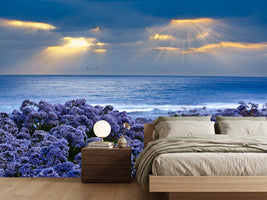 photo-wallpaper-lavender-and-sea