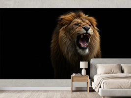 photo-wallpaper-roaring-lion-with-full-mane-against-deep-black-darkness