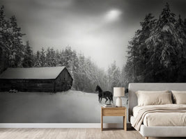 photo-wallpaper-untitled-xpe