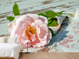 photo-wallpaper-wild-rose-in-pink