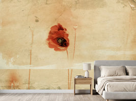 photo-wallpaper-fragment