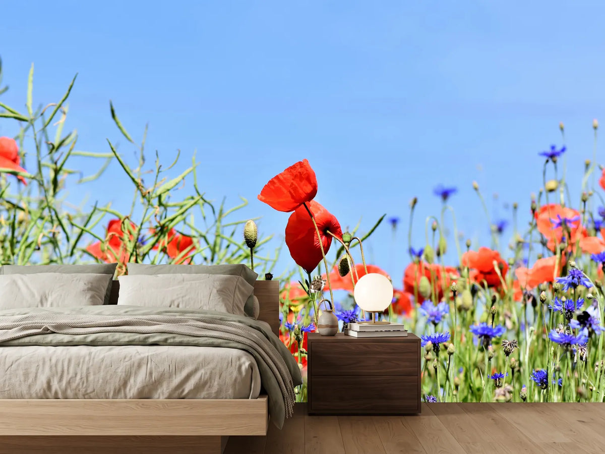 photo-wallpaper-the-poppy-in-the-flower-meadow