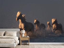photo-wallpaper-horses-in-sunset-light-x