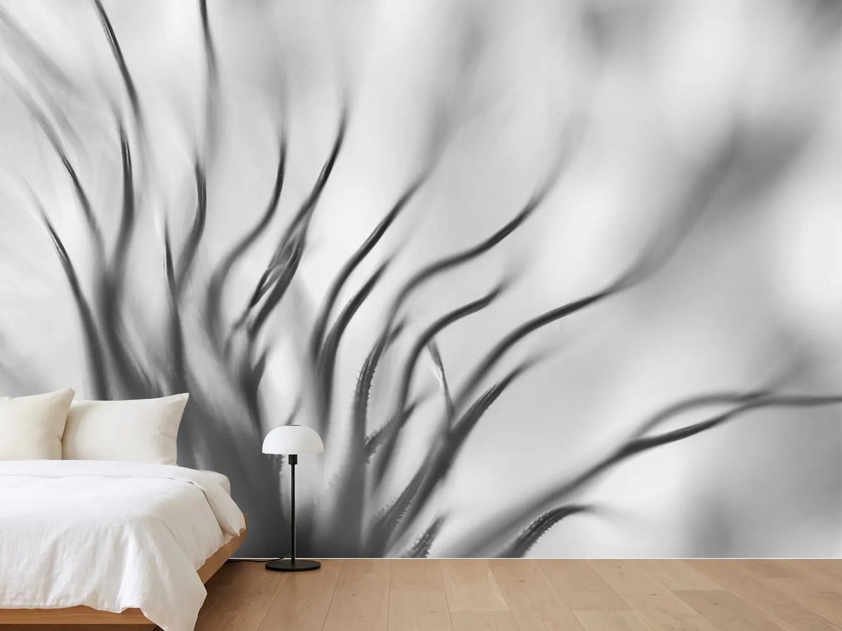 photo-wallpaper-untitled-xvii-p