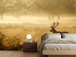 photo-wallpaper-red-deer-stag-silhouette-in-the-mist-2