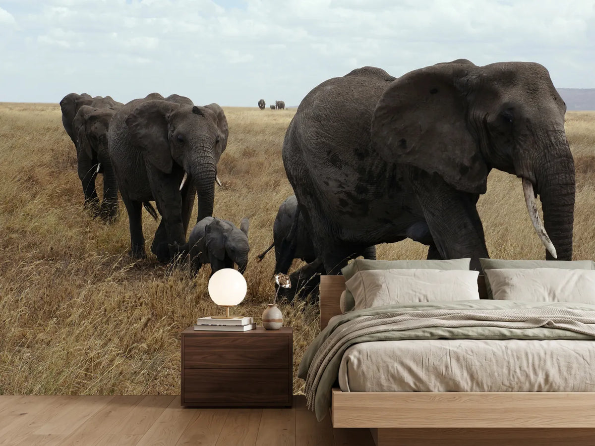photo-wallpaper-elephant-family