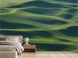 photo-wallpaper-emerald-field-waves